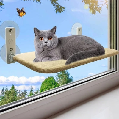 hamac chat fenêtre beige chat detendu dessus