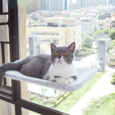 hamac chat fenêtre beige chaton relaxant  dessus