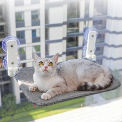 hamac pour chat fenêtre chat dessus en observation