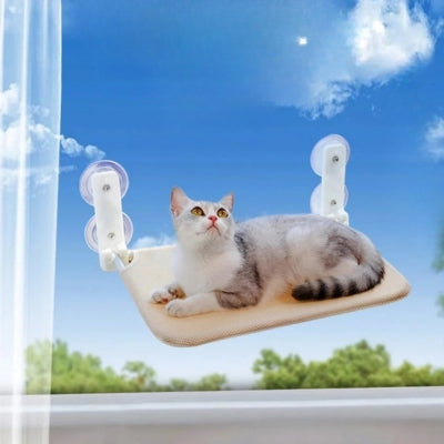 hamac pour chat fenêtre chat dessus observant son territoire