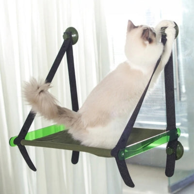 hamac chat fenêtre chat griffant dessus