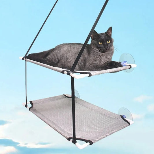 hamac chat fenetre chat installé dessus