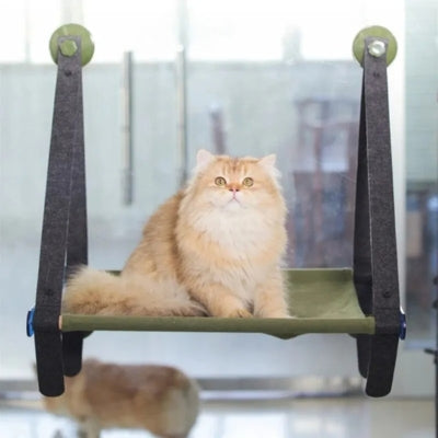 hamac chat fenêtre chat relaxant paisiblement dessus