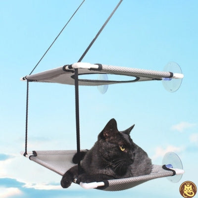  hamac chat fenetre comfyperchoir chat relaxant sur étage inférieur