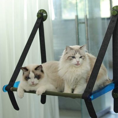 hamac chat fenêtre deux chats relaxant paisiblement dessus