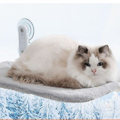 hamac chat fenêtre gris peluche chat relaxant dessus