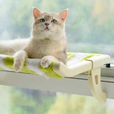 hamac chat fixé sur bord fenêtre chat profitant bain soleil