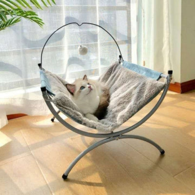 hamac chat gris chaton detendu paisiblement