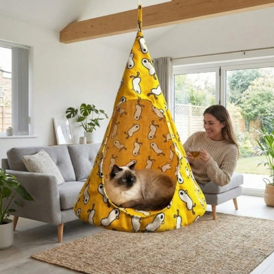 hamac chat jaune chat detendu dedans maîtresse relaxant divan