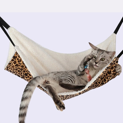 hamac chat léopard chaton s'amusant dedans