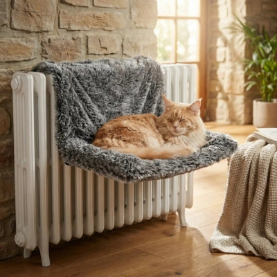 hamac chat radiateur maine coon fait sieste dessus