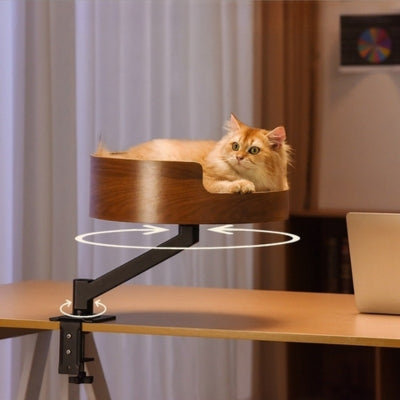 hamac chat ragdoll detendu dessus