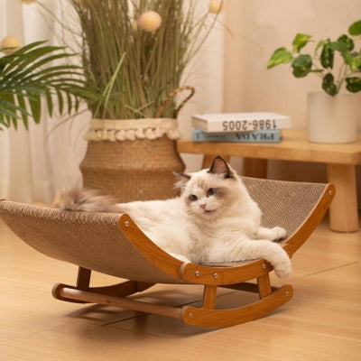 hamac chat ragdoll relaxant sereinement dessus