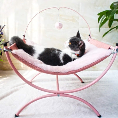 hamac chat rose chat observant son territoire