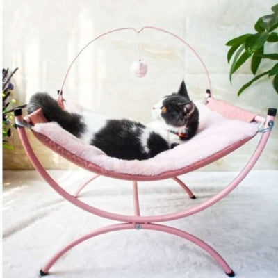 hamac chat rose chat relaxant