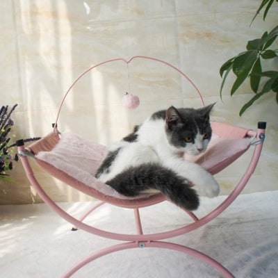 hamac chat rose chat relaxe