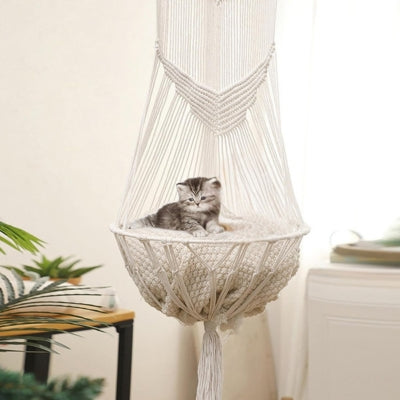 hamac chat suspendu blanc chaton detendu dessus