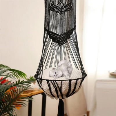 hamac chat suspendu chaton enroulé confortablement dedans