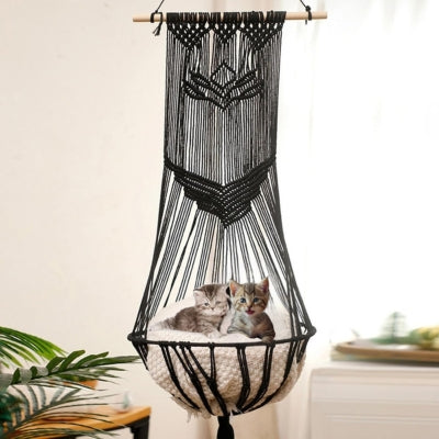 hamac chat suspendu deux chatons enlacés affectueusement dedans