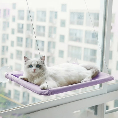 hamac chat violet chat relaxant paisiblement dessus