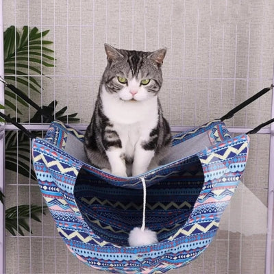 hamac chaton chat installé dessus