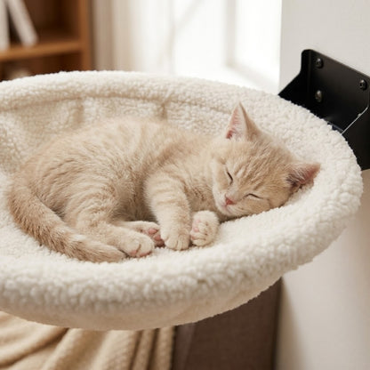 hamac chaton cocoonminou chaton crème endormi dans le nid