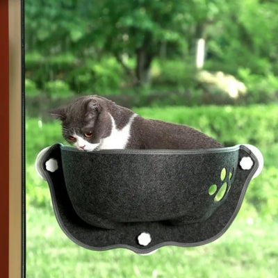 hamac fenêtre chat chat detendu dedans