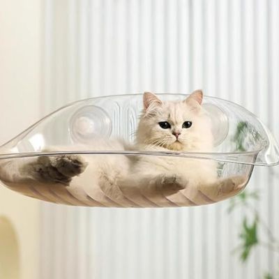 hamac fenêtre chat chat detendu