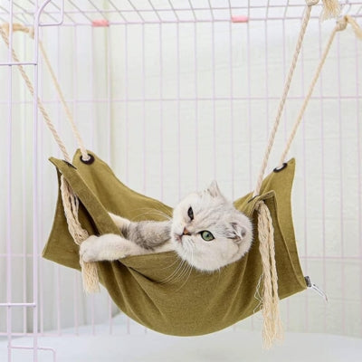 hamac fenêtre chat chat en detente dessus
