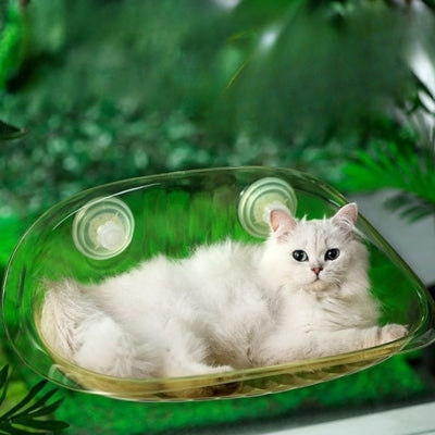 hamac fenêtre chat chat en relaxation paisible