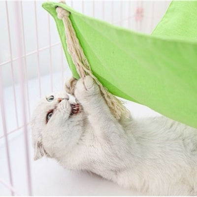 hamac fenêtre chat chta joiuant avec corde hamac
