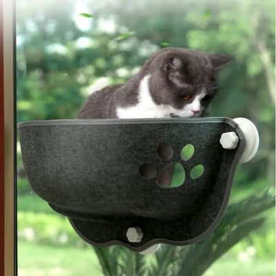 hamac fenêtre chat chat observant son territoire