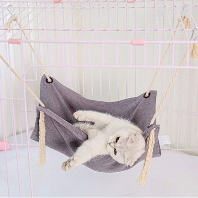 hamac fenêtre chat chat relaxant paisiblement