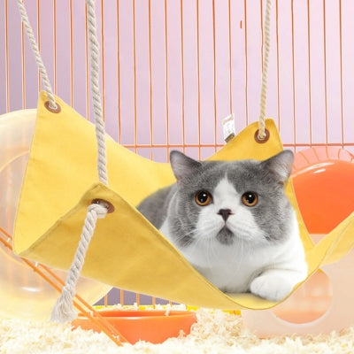 hamac fenêtre chat chaton detendu dessus
