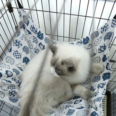 hamac pour chat blanc ragdolle relaxant dessus