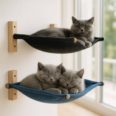 hamac pour chat bleu chatons enlacés hamac noir chatte dessus