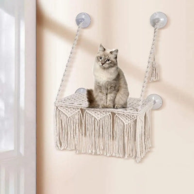 hamac pour chat chat en observation