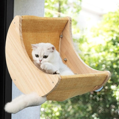 hamac pour chat chaton lové dedans