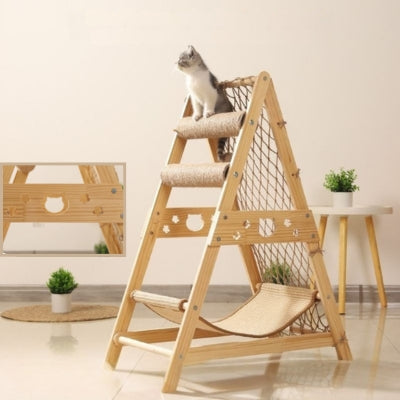 hamac pour chat chaton observant