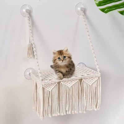 hamac pour chat chat chaton relaxant confortablement dessus