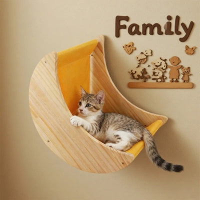 hamac pour chat chaton relaxant dedans