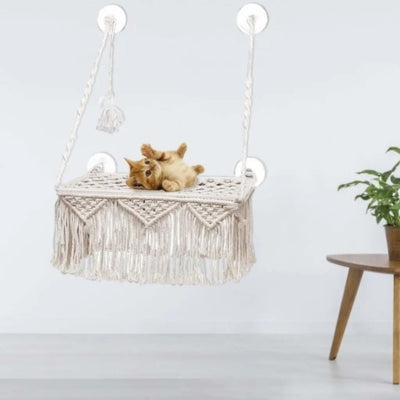 hamac pour chat chaton roulé sur son dos dessus