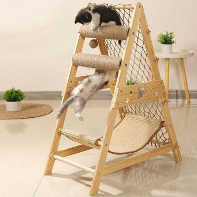 hamac pour chat chatons jouant