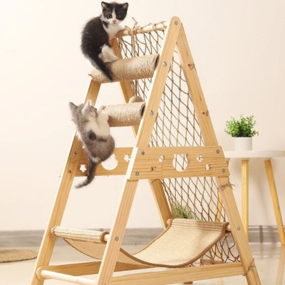 hamac pour chat chatons s'amusant