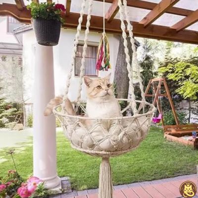 hamac pour chat cocon boho suspendu jardin chat detendu dedans