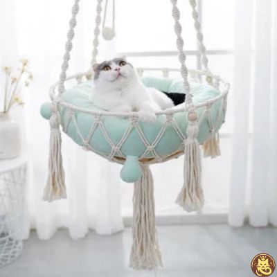 hamac pour chat cocon boho suspendu salon chat somnolant dedans