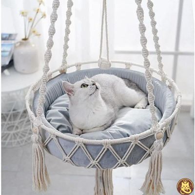 hamac pour chat cocon boho suspendu terrasse chat observant dedans