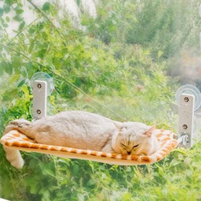 hamac pour chat fenêtre chat relaxant dessus profitant soleil
