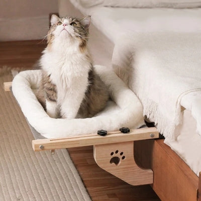hamac pour chat fenêtre fixé au bord lit ragdoll installé dessus