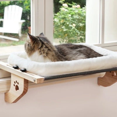 hamac pour chat fenêtre ragdoll allongé dessus regarde à travers fenêtre
